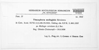 Image of Thecaphora molluginis